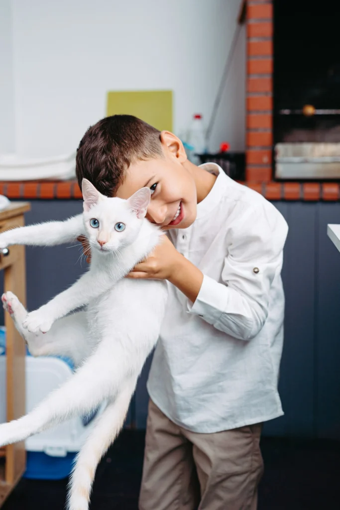 A young boy with a joyful smile holds a white cat during a family photography session in Portugal.