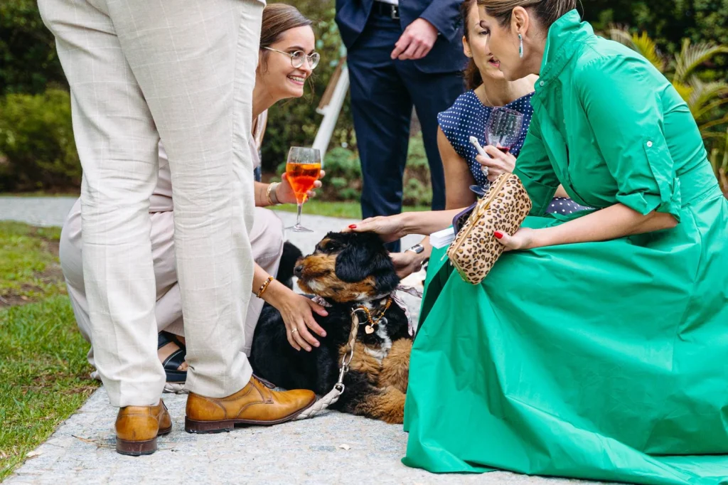 Wedding guests enjoying a relaxed cocktail hour with a dog at a portugal wedding.