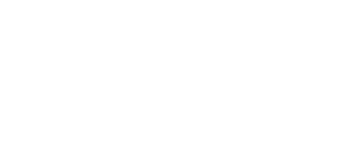 leilaferreiraphotography.com